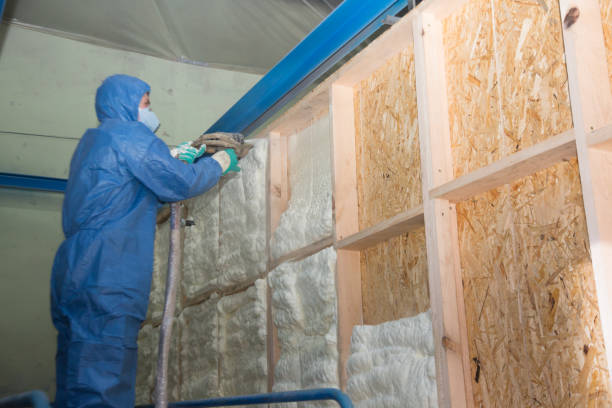 Best Wall Insulation Contractor  in Homeacre Lyndora, PA